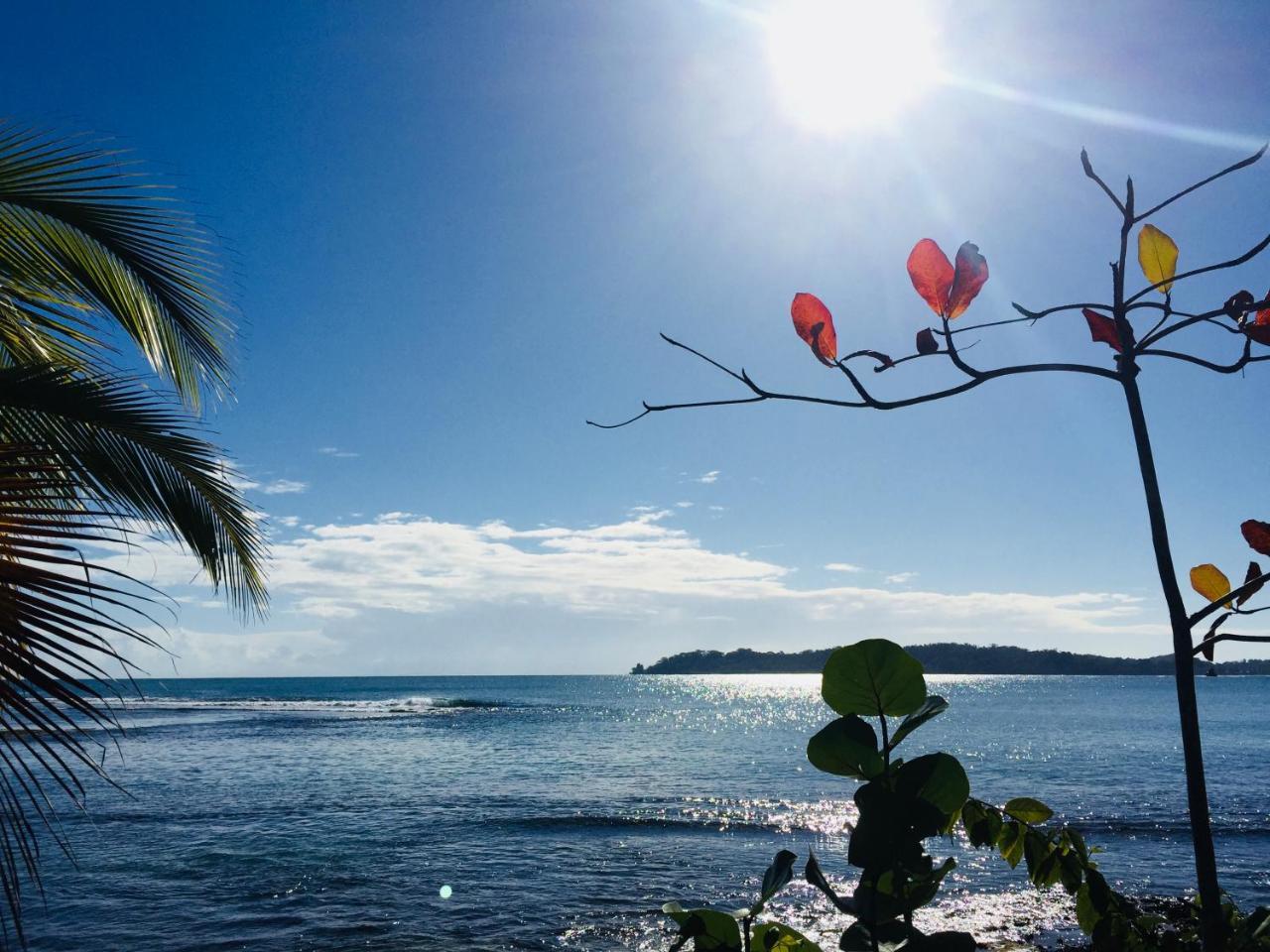 Casa Oceana Bed & Breakfast Bocas del Toro Zewnętrze zdjęcie