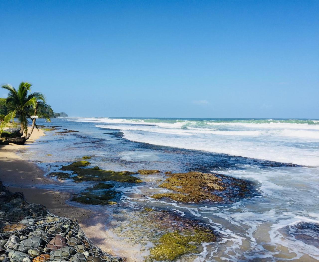 Casa Oceana Bed & Breakfast Bocas del Toro Zewnętrze zdjęcie
