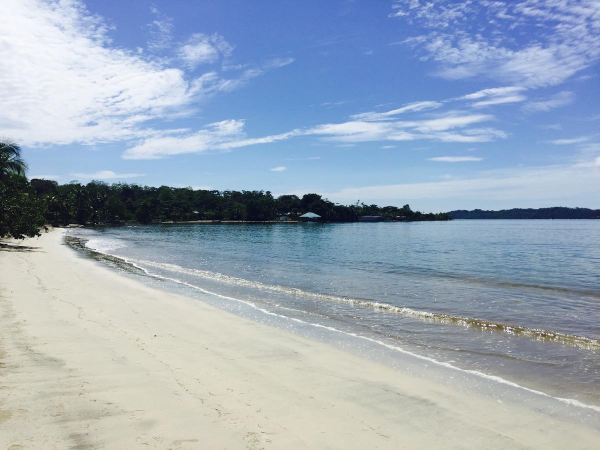 Casa Oceana Bed & Breakfast Bocas del Toro Zewnętrze zdjęcie