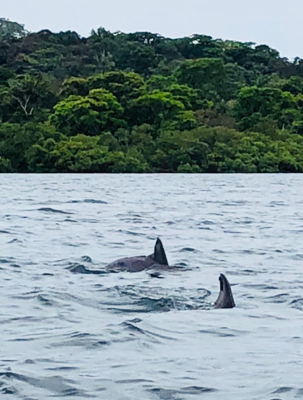 Casa Oceana Bed & Breakfast Bocas del Toro Zewnętrze zdjęcie